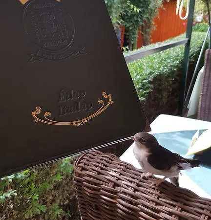 Illés Hotel